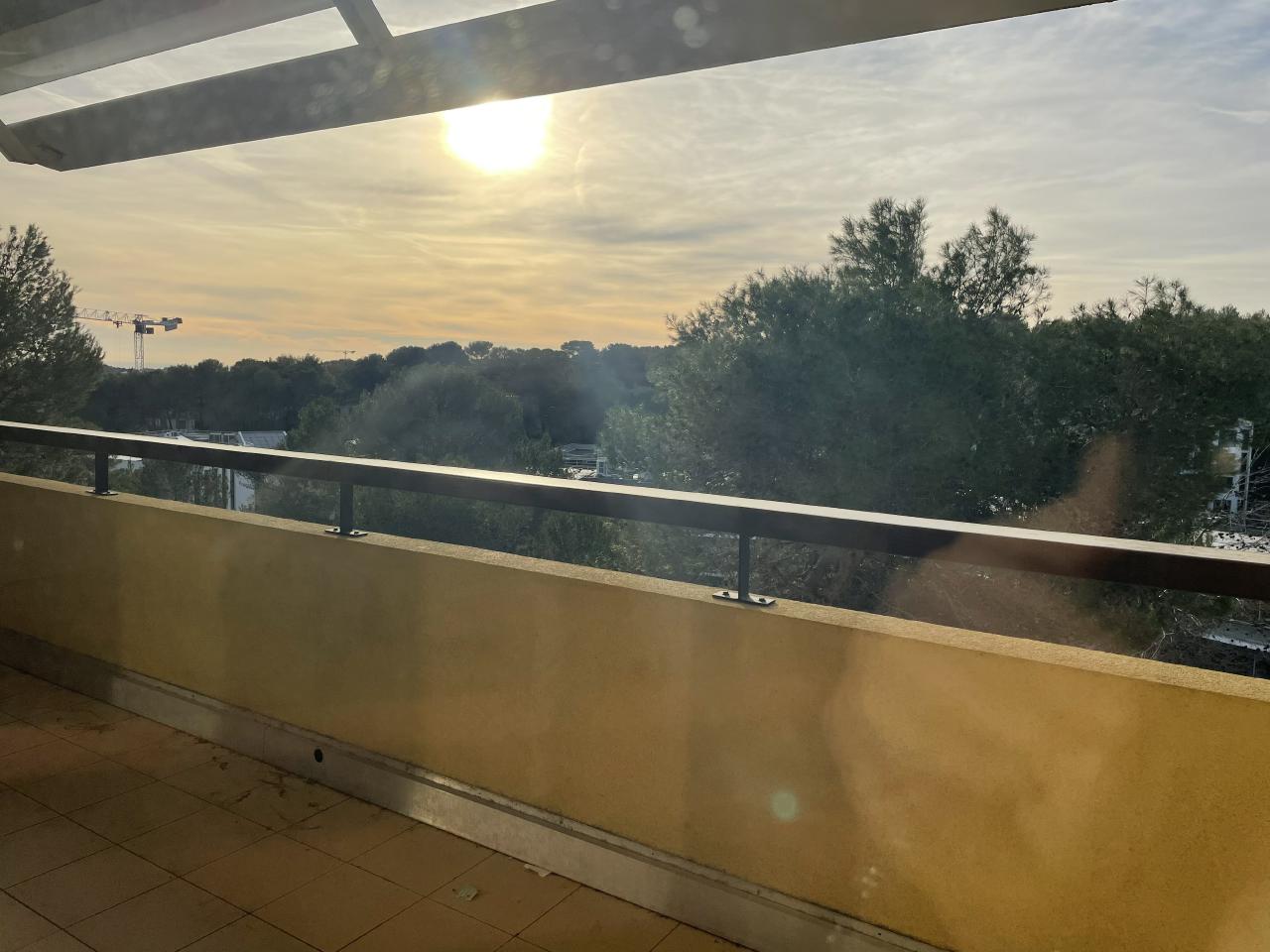 Bureau Sophia Antipolis 2865m² Location bureau Sophia Antipolis Alpes-Maritimes OLBUR2114891 11